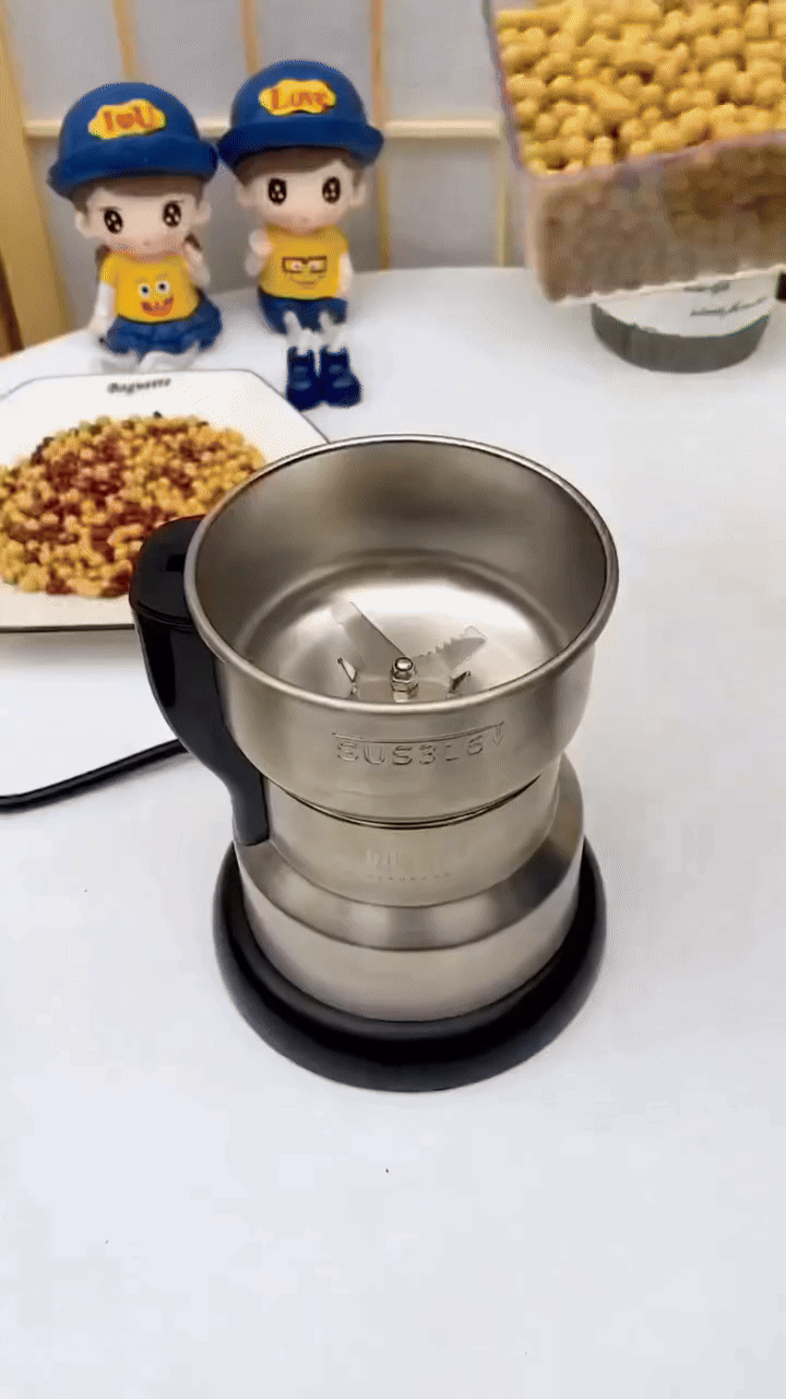 Stainless Steel Electric Grinder With Free Delivery